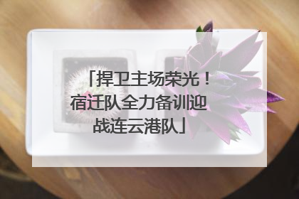 捍卫主场荣光！宿迁队全力备训迎战连云港队